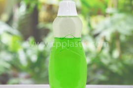 Bottle 300 ML with Pull/Push Cap